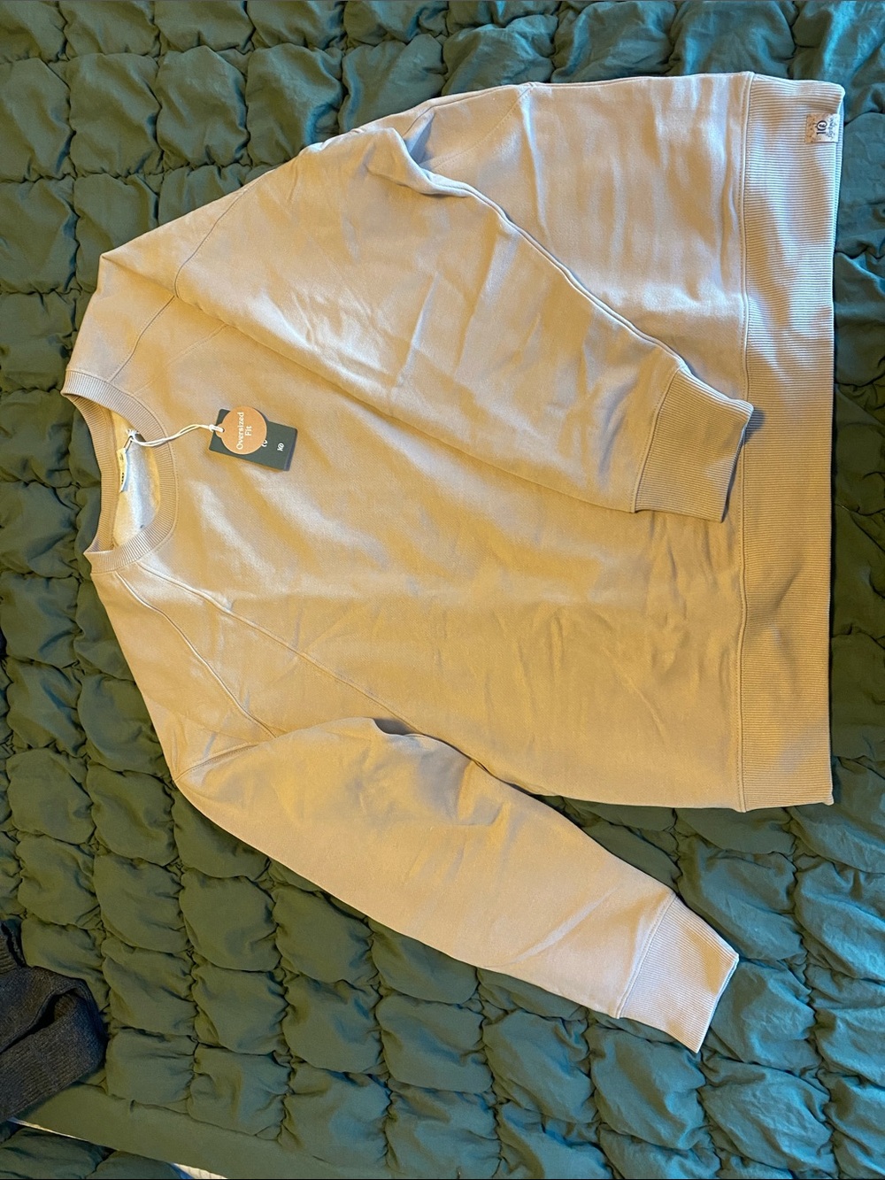 Women’s Crewneck Sweater in Sage-Beige